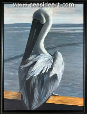 Pelican on Watch