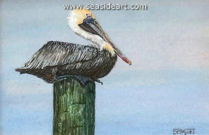Wyles-Pelican's Rest