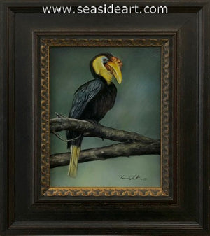 Perched (Wrinkled Hornbill)