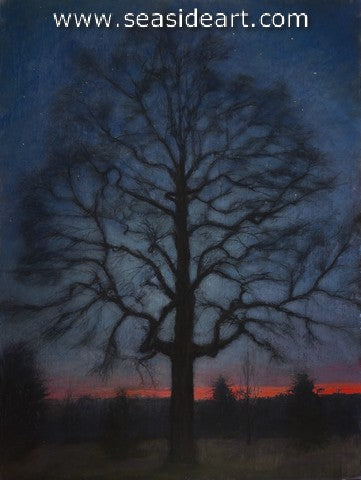 Goll-Persimmon at Dawn