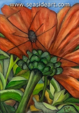 Chevront-Petal Watcher