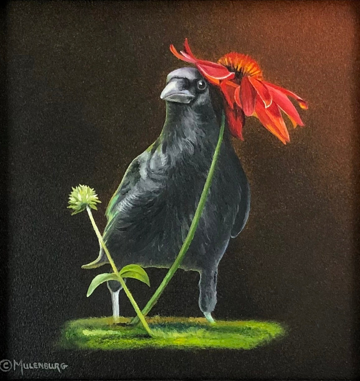 Mulenburg-Petal Whispers