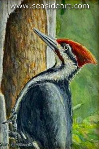 Benbrook-Pileated Woodpecker