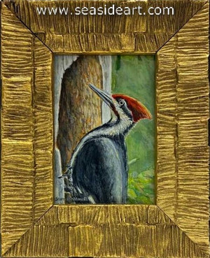 Benbrook-Pileated Woodpecker