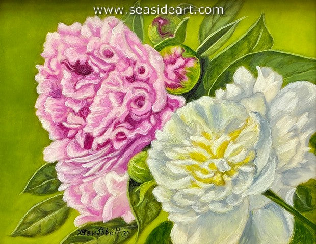 Pink and White Peonies