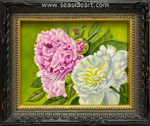 Pink and White Peonies