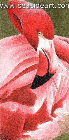 Pink Flamingo