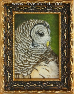 Portrait of a Barred Owl