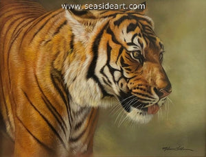 Predatory Intensity (Tiger)