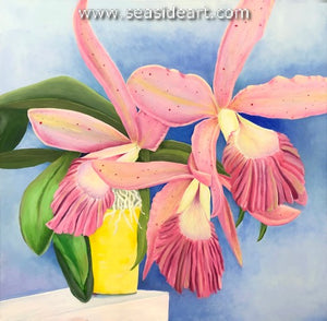 Pink Cattleya