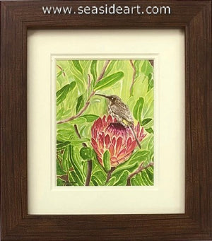 Goodwin-Protea Whisperer