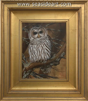 Quiet Perch (Barred Owl)