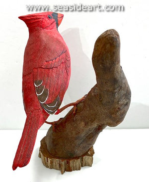 Cardinal