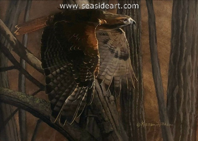 Sold at Auction: Doug Lindstrand, Doug Lindstrand Original Field Style  Sketch of Red Tailed Hawk