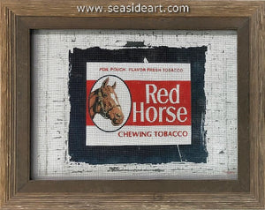 Craig-Red Horse Store Door