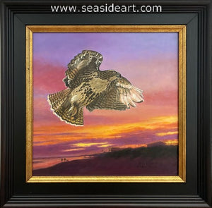 Abbott-Red Tailed Hawk's Late Evening Flight
