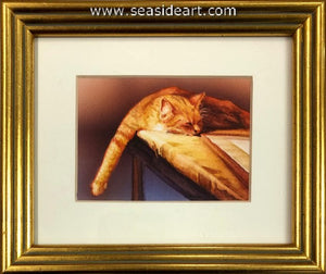 Rembrandt's Cat