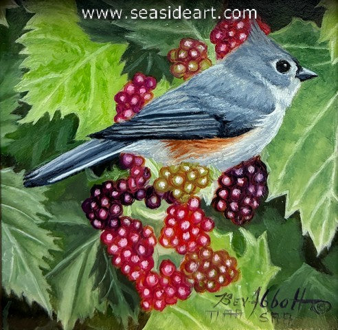 Ripening Blackberries(Tufted Titmouse)