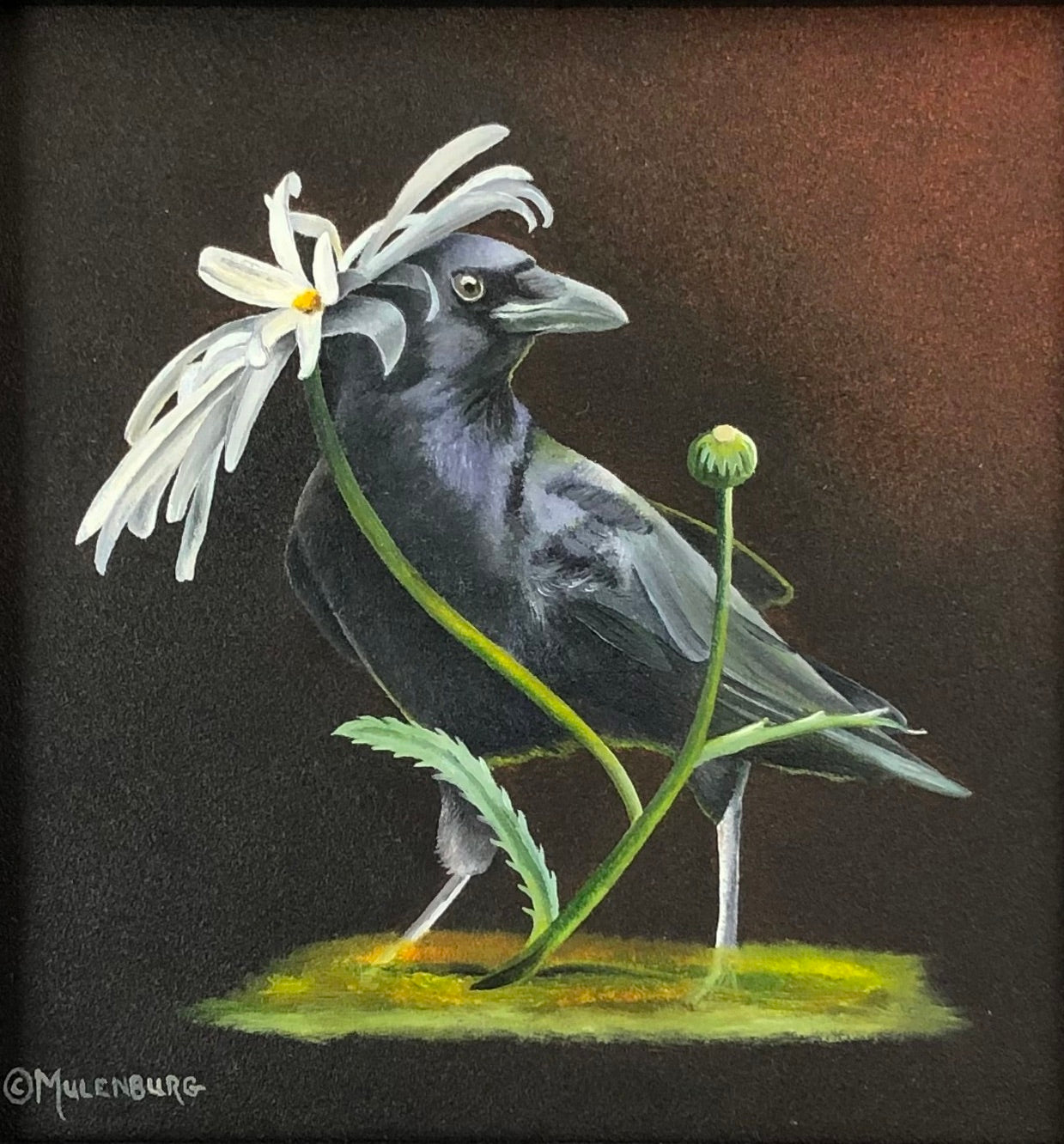 Mulenburg-Romancing the Shasta