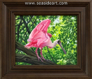 Roseate Spoonbill's Tree Perch