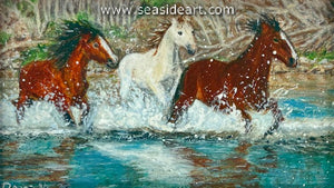 Meinershagen-Salt River Crossing