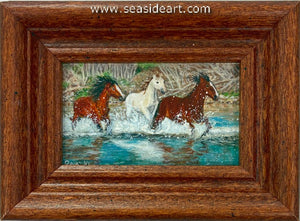 Meinershagen-Salt River Crossing