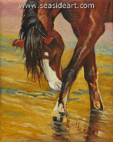 Bauer-Salt River Wild Horse