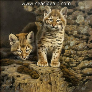 Sanctuary's Edge (Bobcat Kittens)