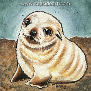 Sand Pup