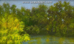 Johnson-Sandy Park Run