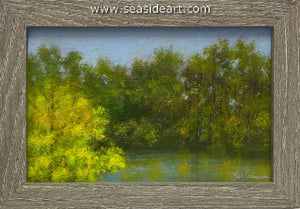 Johnson-Sandy Park Run