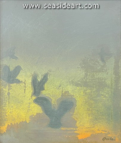 Seagulls at the Point