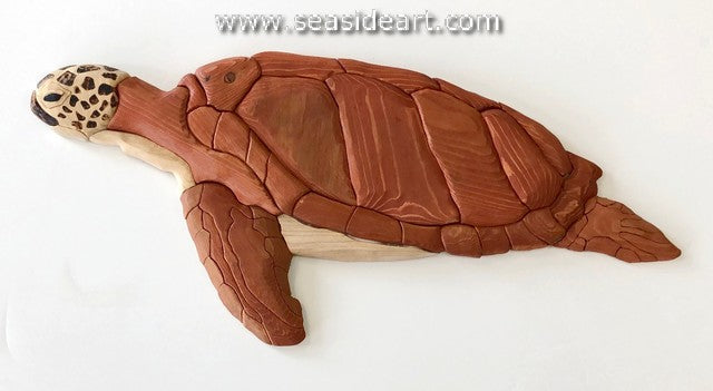 Sea Turtle IV