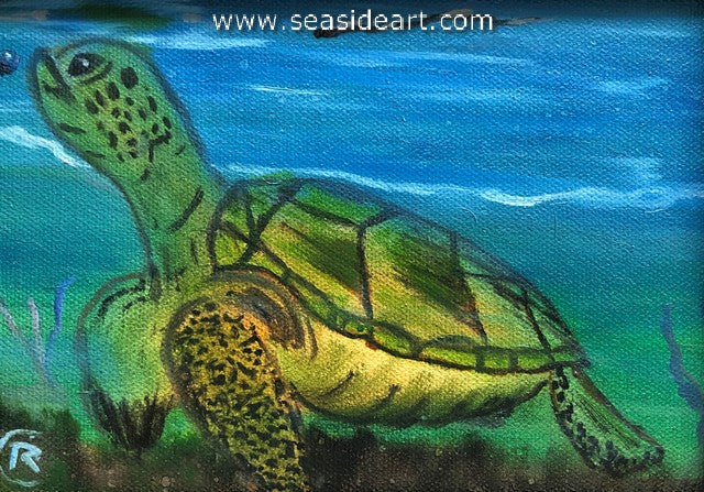 Sea Turtle