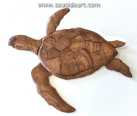 Sea Turtle in the Current