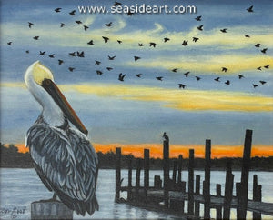 Abbott-Settling in for an Evening in NC