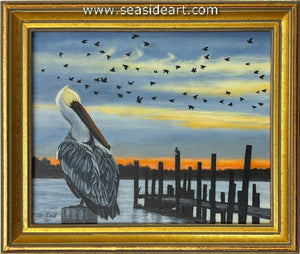 Abbott-Settling in for an Evening in NC