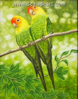 Shared Devotion (Extinct Carolina Parakeets & Sassafras Leaves)
