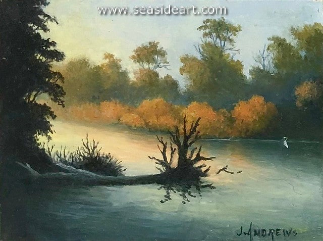Andrews-Sheldon's Marsh