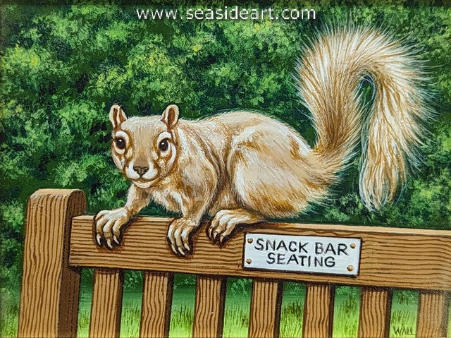 Shelled Walnuts Please