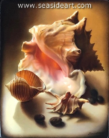 Shells