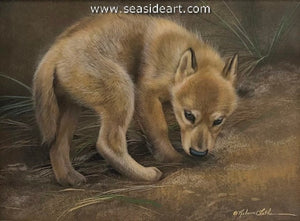 Shy (Wolf Pup)