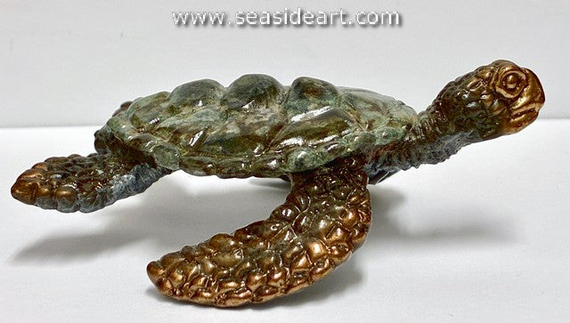 Crawford-Turtle Swim