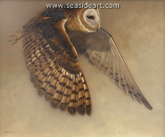 Silent Flight (Barn Owl)