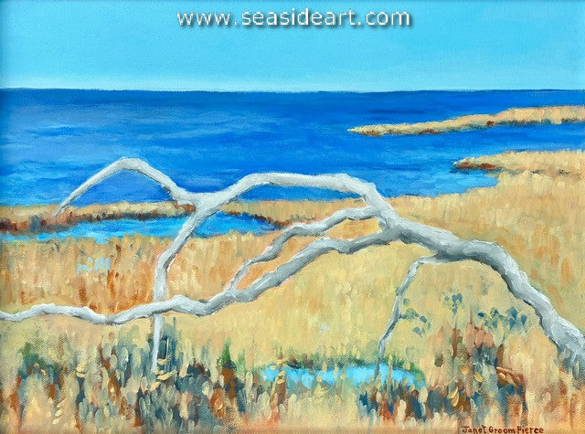 Soundside Marsh