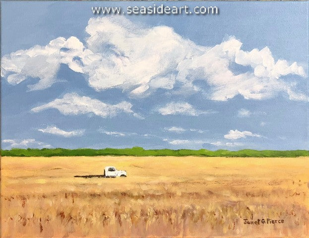 Soy Bean Field (Currituck)