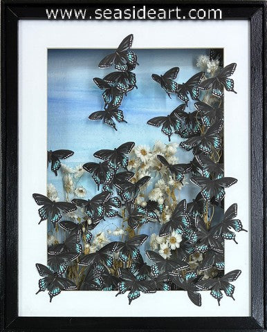 Paglia-Spicebush Swallowtail #22