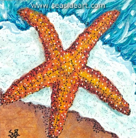 Whitehurst-Starfish II