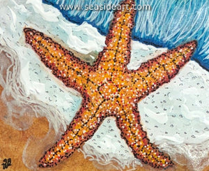 Whitehurst-Starfish III