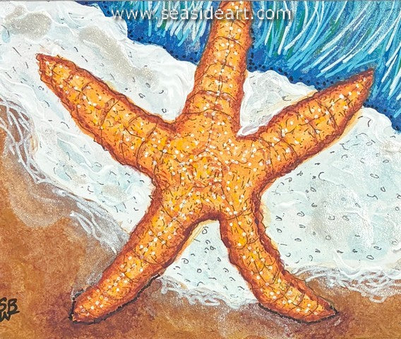 Whitehurst-Starfish IV
